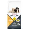 Opti Life Puppy Maxi per cucciolo 12,5 kg
