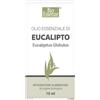 ALCEA Srl Bio Essenze Olio Essenziale di Eucalipto Eucalyptus Globulus 10 ml