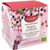 HP ITALIA Srl Neavita Filtroscrigno Infuso Allegria Di Bacche Bio 15 Filtri - Infuso Naturale di Bacche e Frutta