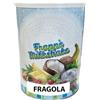 AL Ice-Cream 1 kg Barattolo Frappè Milkshake Fragola con Misurino SENZA GLUTINE