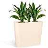 Kloris Vaso Fioriera Alta Rettangolare Moderna per Siepe e Recinzione MOD. Blog Colore Crema cm 70x30 Altezza cm 70