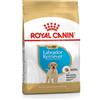 Royal Canin Labrador Retriever Junior - Royal Canin - Labrador Retriever Junior - 3KG