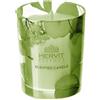 HERVIT Candela Botanic Verde