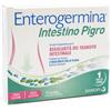 Sanofi Enterogermina intestino pigro 10 buste