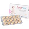 PHARMACROSS CO LTD FOLICVET 15 COMPRESSE