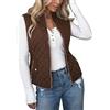 JokeLomple Gilet da Donna Giacca - Imbottito in Cotone Cappotti Antivento Giacca Senza Maniche Gilet di Transizione Leggero Oversize Giacca Antivento Termica Giubbotto Gilet Zip Caldo Autunno Inverno