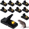 TWBEST Trappola per Topi, 10 Pezzi Piccoli in Plastica, Trappole Topi Riutilizzabili, Resistenti e Facile da Pulire, Trappola Professionale per Casa, Cucina, Ristorante