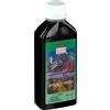 Raihuen Olio 31 Gocce 100 ml