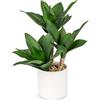 Hollyone 37cm Grandi piante grasse artificiali in vaso, 3 pezzi di agave in vaso, piante grasse artificiali in vaso, decorazione di piante grasse in vaso aloe yucca vera per casa, ufficio, cucina