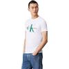 Calvin Klein Seasonal Monologo Tee J30J320806, Magliette a Maniche Corte Uomo, Bianco (Bright White), XXL