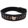 M&D Staffy, collare per cani in pelle nera con design borchiato e motivo testa di Bull Terrier Staffordshire, larghezza 3,8 cm (L: 50,8 cm - 61 cm)