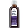 MELATO DI LICHENI SCIR 100ML