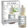 CICATRIZ POLV 10G