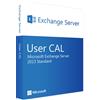 Microsoft Exchange Server 2013 Standard, 1 User CAL
