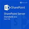 Microsoft SharePoint Server 2016 Standard User CAL