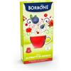 BORBONE Caffè Borbone Frutti Di Bosco 10 Capsule Nespresso