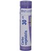 BOIRON SRL Boiron Carbo Vegetabilis 30CH Granuli Confezione da 4g 80 granuli