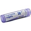 BOIRON SRL CHAMOMILLA VULGARIS 30CH 80GR