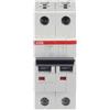 ABB Interruttore automatico S202M C10 10KA 2P ABB S550284 [20181000]