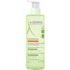 ADERMA (Pierre Fabre It.SpA) EXOMEGA CONTROL GEL LAVANT 2IN1 500 ML
