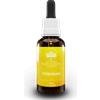 Australian Bush Flower Essences Bush Flowers Ottimismo Essenza 30ml