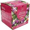 DL SERVICE Granuli Profumati per Aspirapolvere, Ambienti e Tessuti, Cristalli per ambiente - Scatola da 6 bustine da 50gr (Fiori di Rotterdam)