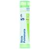 Boiron Srl Sticta Pulmonaria 5 Ch Granuli 1 Contenitore Multidose In Pp Da 4 G (80 Granuli) Con Tappo Dispensatore In Pp