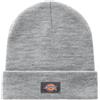 DICKIES GIBSLAND BEANIE Berretto Unisex