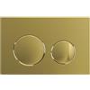 SPARES2GO Kit di placca di scarico di lusso per cassetta di scarico WC nascosta, telaio sospeso (ottone spazzolato, 245 mm x 165 mm)