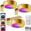 Tedmos Faretti LED per Quadri Senza Fili, 2600mAh Luci per Quadro da Parete con Telecomando, Applique Senza Fili Colorata Lampada Adesiva Muro a Batteria Illuminazione Magnetica per Armadio Vetrina Arte Oro