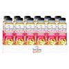 Sant'Anna SanFruit Frutta Mix 0,33L | Bevanda a base di succhi di Frutta in Acqua Sant'Anna Senza Zuccheri Aggiunti | Confezione da 12 bottiglie (330ml, Frutta Mix)