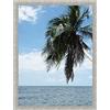 RK Cadres Cornice su Misura 46x61 o 61 x 46 Cornice portafoto Taupe Grigio, 3.5 Centimetri di Larghezza
