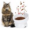 Nobleza - Ciotole per Gatti in Ceramica, Ciotole per Gatti Rialzate con Inclinazione di 15°, per Cibo e Acqua, Anti Vomito, Facile da Pulire, per Gatti Cani Piccoli,Bianco
