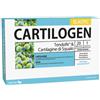 CARTILOGEN ELASTIC 20 FIALE DA 15 ML
