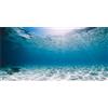 MIRRORANG 76x30cm Durevole Vinile Sottomarino Oceano Pavimento Acquario Sfondo Tropicale Serbatoio Sfondo