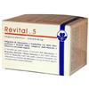 LIVI Sas di Lincetto & C. REVITAL 5 36 BUSTINE 5 G