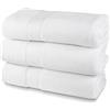 HH HERMET HOTELLERIE Set Asciugamani Bagno In Spugna 100% Cotone, 3 Asciugamani Viso, Confezione da 3 Pezzi, cm.60x100, 550 gr/mq, Ideali per B&B e Hotel, Resistente ai Lavaggi, Bianco, Linea Luxury