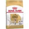 Royal Canin Labrador Retriever Adult - Sacchetto da 3kg.