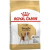 Royal Canin Beagle Adult 3Kg Crocchette Cani