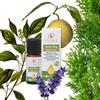 Flora Tarme stop - miscela di oli essenziali puri - 10ml