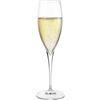 KASANOVA Set di 6 calici Champagne Io Wine Table