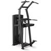 Toorx Fitness Toorx Avant line Pin loaded Assisted Pull Up/Chin Up/ Dip PLX-B6350 con pacco pesi da 90 kg