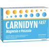 Alfasigma spa Carnidyn Fast Magnesio E Potassio 20bustine Per Stanchezza Fisica E Reintegro Idrosalino
