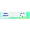 BOIRON Srl Boiron Ledum Palustre Globuli 07Ch Dose 1g