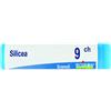 BOIRON Srl Boiron Silicea Globuli 09Ch Dose 1g