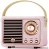 Caulikine Cassa Bluetooth Retrò Portatile Rosa Idee Regalo Donna e Compleanno per Lei, Ragazza, Ragazzo, Bambini, Adolescente Altoparlante Bluetooth Compatto Vintage Decorazione Casa, Camera, Ufficio (Rosa)