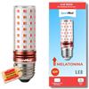 Puremind® Luce rossa E27 - luce rossa notturna - lampada luce melatonina - Lampadina per dormire - aiuta nella produzione di melatonina - bilancia il ritmo circadiano