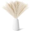 Wekuw 30 Pezzi Pampas Decorative,Piume Decorative Fiori Secchi Decorativi,Piume Decorative per Vaso,Fiori Secchi Decorativi per Vaso per Arredamento Casa Arredamento Boho Matrimonio (Giallo)