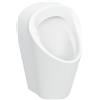 Geberit Renova orinatoio, 503120001, M Renova bianco [Orinatoi > Orinatoi]