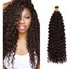 S-noilite Capelli Ricci Intrecciati, Estensioni per Capelli Marlybob Crochet Braids 35CM Water Wave Afro Kinky Jerry Curl Pre Stirato Treccia Parrucca, 1 Pack 100g,Marrone scuro